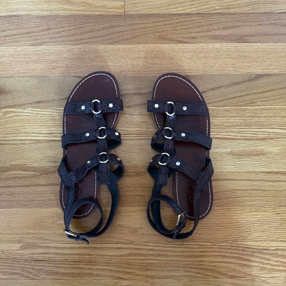 Cole Haan Gladiator Sandals ♥️